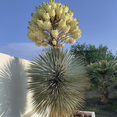 Cortijo Oro Verde B&B 타베르나스 외부 사진