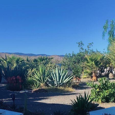 Cortijo Oro Verde B&B 타베르나스 외부 사진