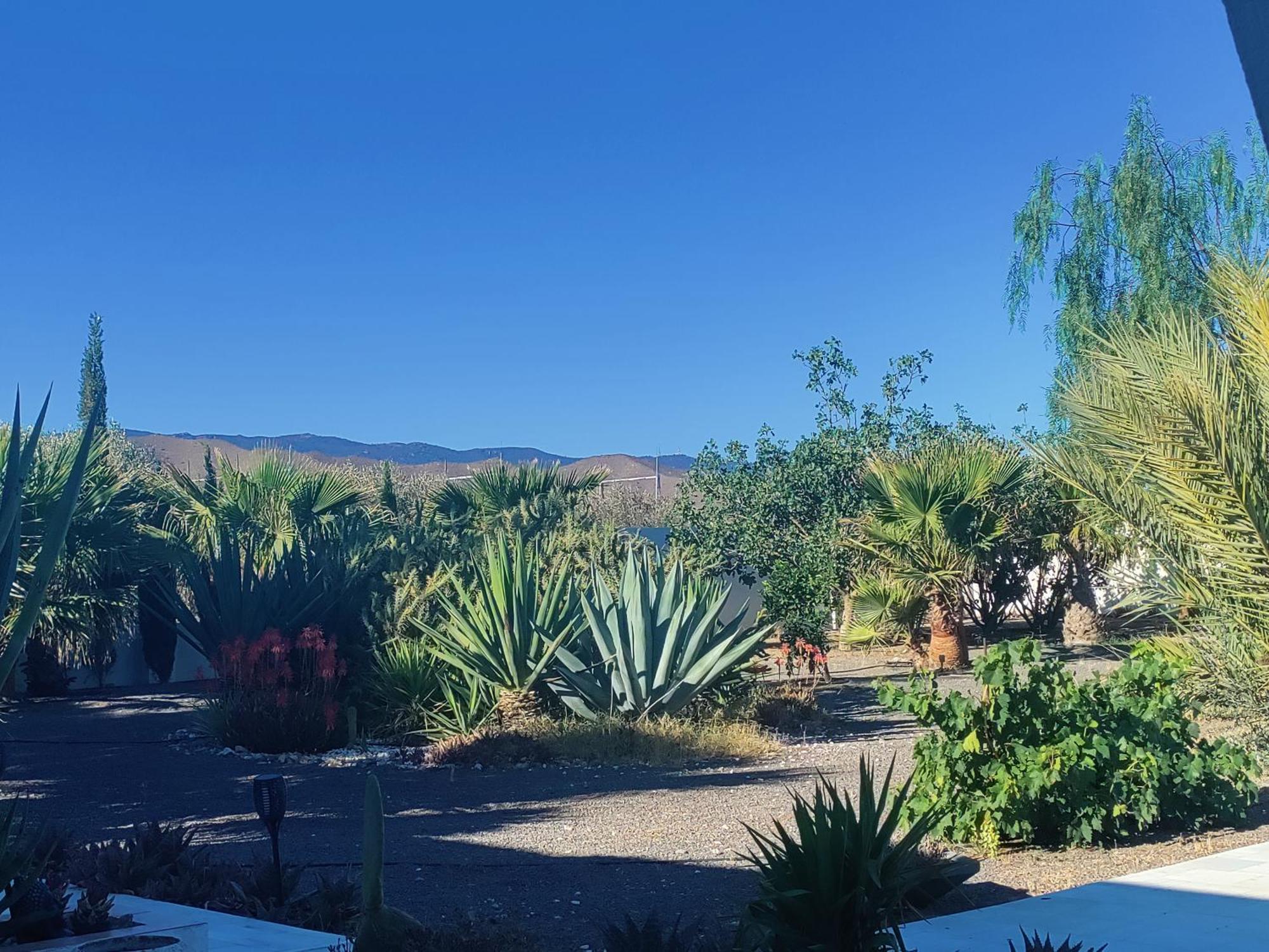 Cortijo Oro Verde B&B 타베르나스 외부 사진