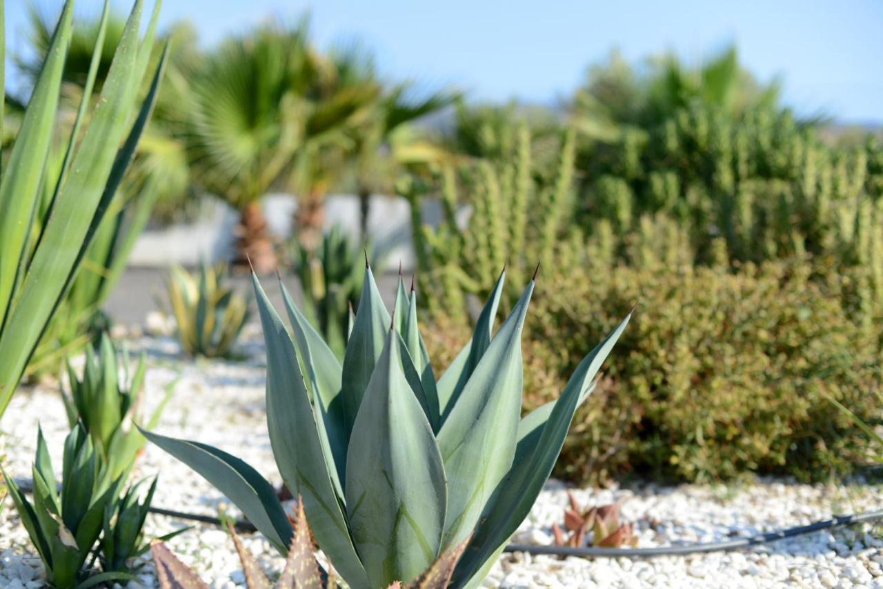 Cortijo Oro Verde B&B 타베르나스 외부 사진